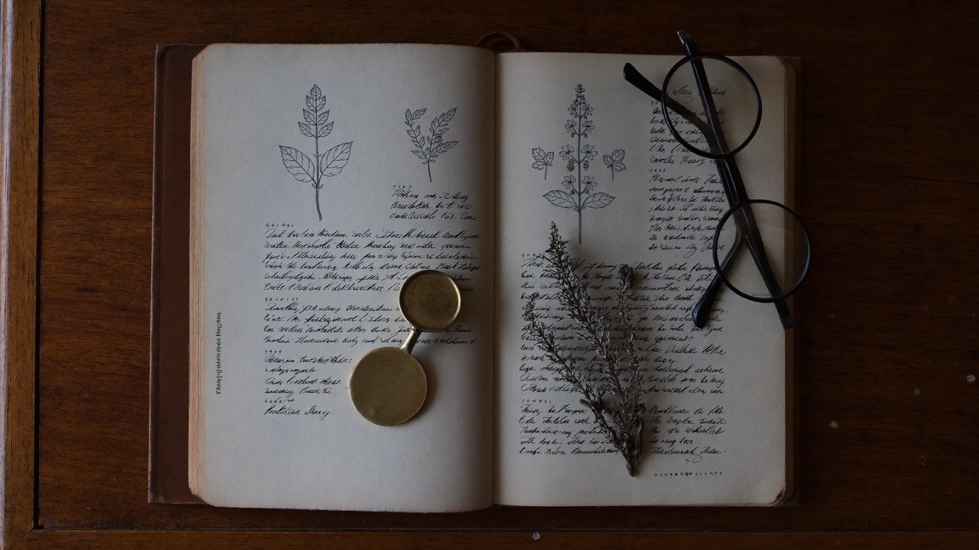 Medicine is older than wellness